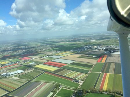 Blumenzwiebel Rundflug 60 Minuten