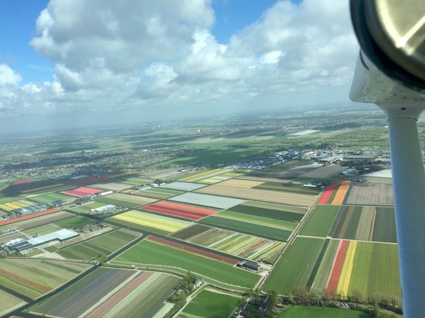 Bloembollenrondvlucht 60 minuten